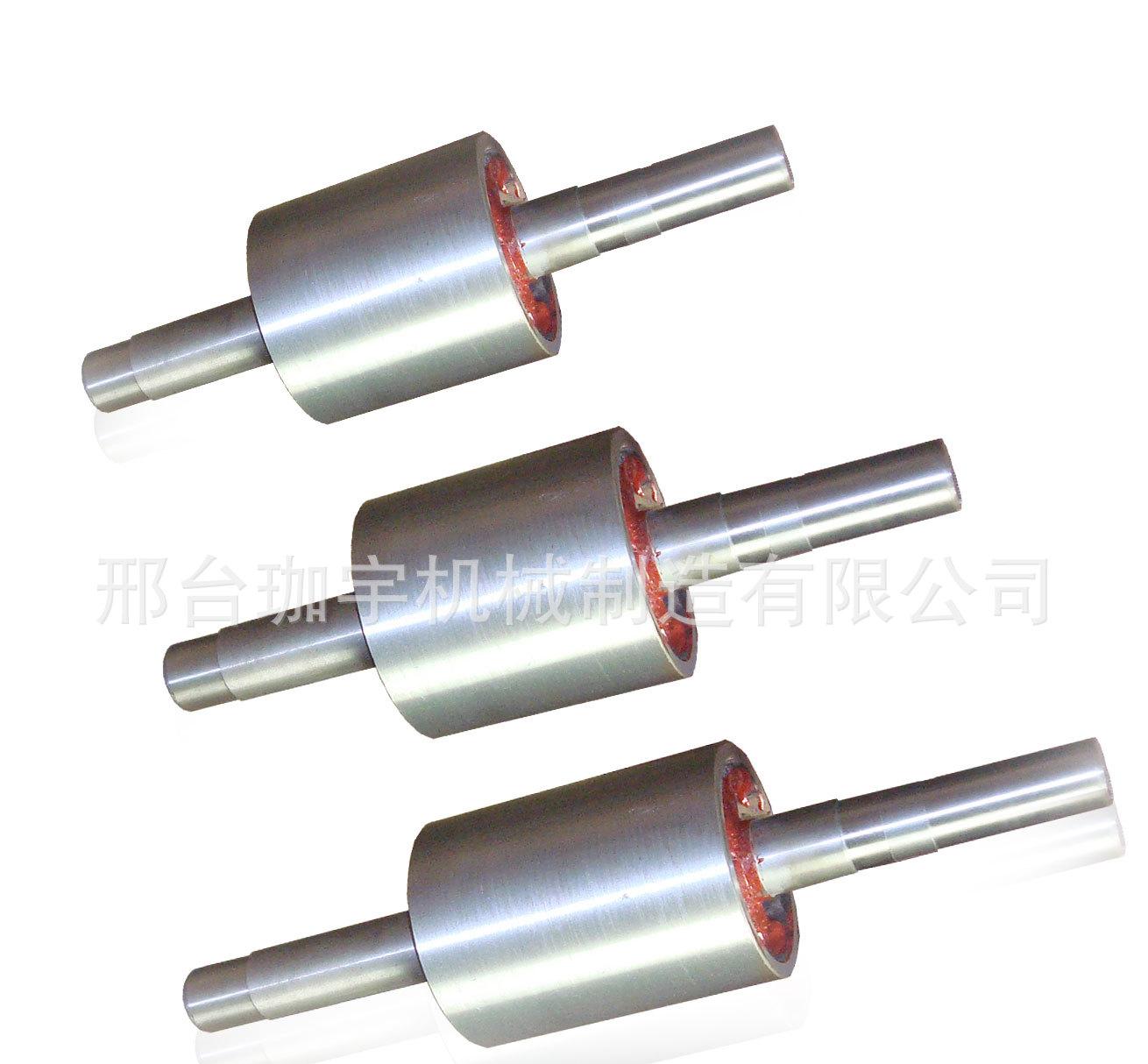電機(jī)轉(zhuǎn)子1-4