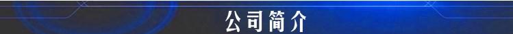 公司簡介
