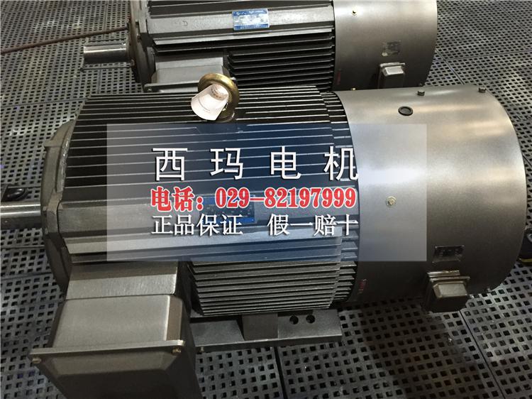 現(xiàn)貨銷售YVFE3-200L-6新型節(jié)能變頻電機(jī)圖片