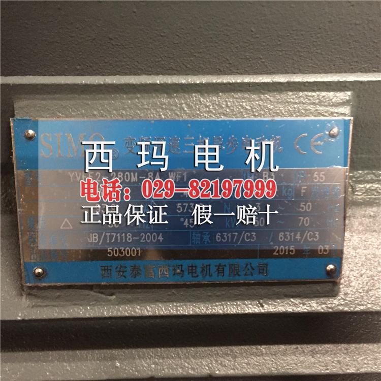現(xiàn)貨銷售YVFE3-200L-6新型節(jié)能變頻電機(jī)圖片