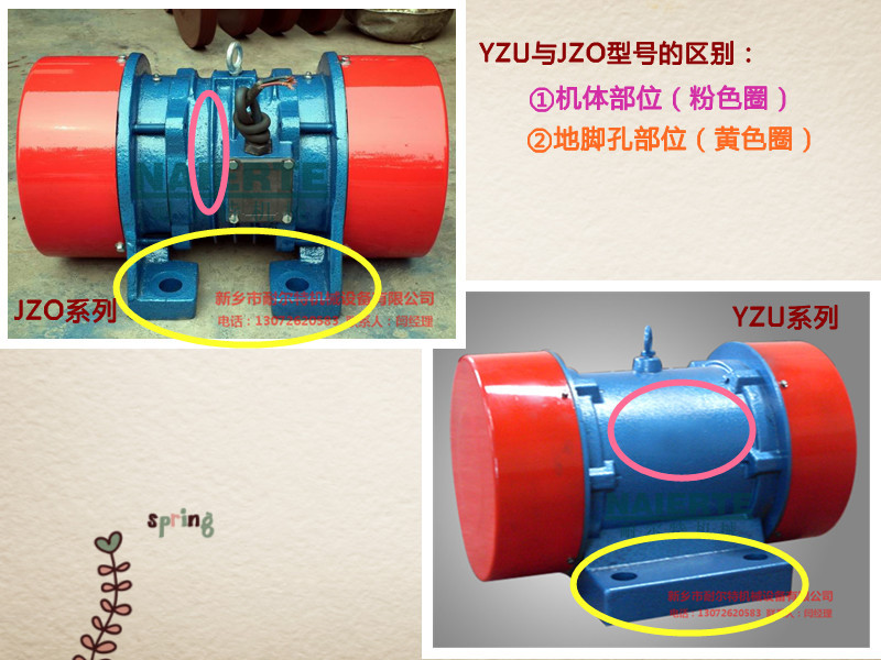 Y+J對比照