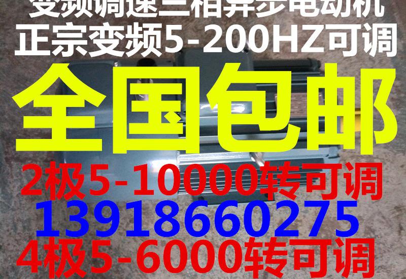 正宗高速變頻電機(jī)
