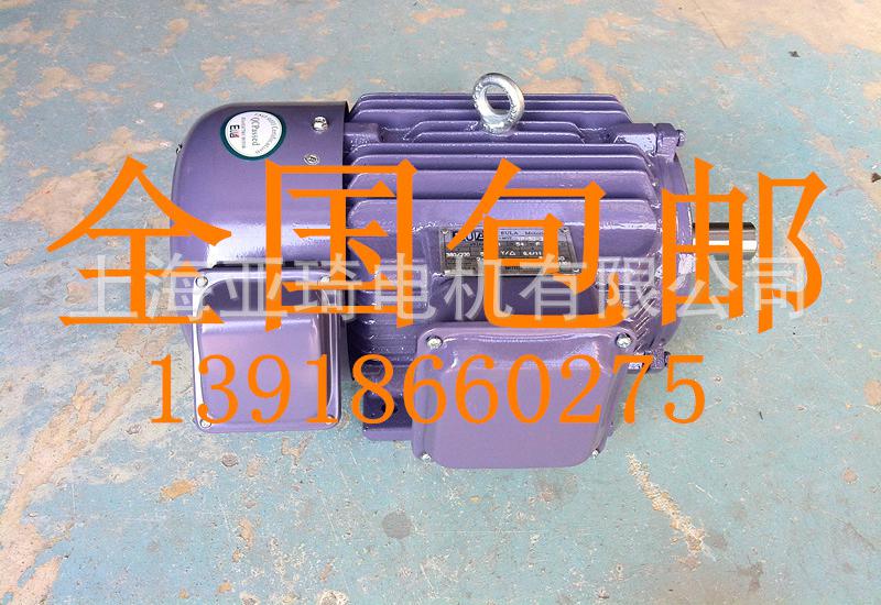 臥式變頻電機(jī)_副本