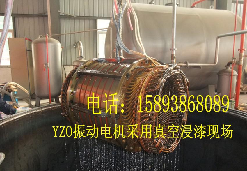 高壓電機(jī)定子真空浸漆