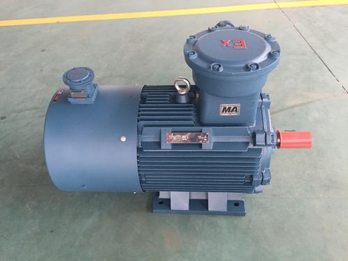 宏利卷簾門防爆電機(jī) 浙江省 防爆電機(jī)