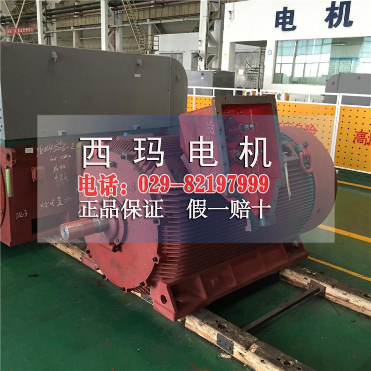 YB2-5005-4 900KW 10KV中型高壓防爆電機