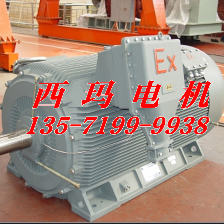 防爆電機(jī)3