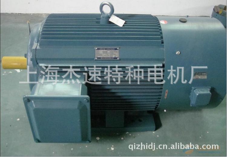 變頻電機(jī) YVP2  250M-4  55KW  6490