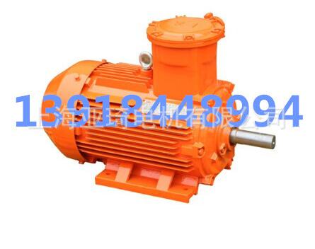 YB2防爆電動(dòng)機(jī)安裝尺寸B3 B5110