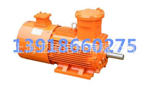 YB2防爆電動(dòng)機(jī)安裝尺寸B3 B5110