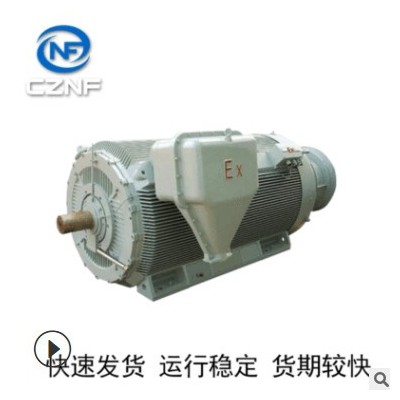 批發(fā)YBBP系列電動(dòng)機(jī)效率高皖南電機(jī)防爆型三相異步電動(dòng)機(jī)定制批發(fā)