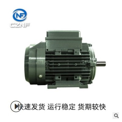 批發(fā)皖南電機(jī)YE3電動(dòng)機(jī) 振動(dòng)源三相異步電動(dòng)機(jī) 振打防爆電機(jī)