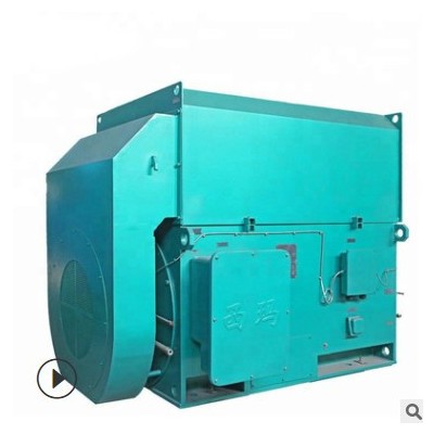 西安電機(jī)廠高壓電機(jī)10KV/YKK4503-4 400KW/IP55/50HZ