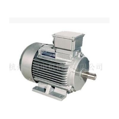 供應(yīng)訂做西門(mén)子貝得特殊電動(dòng)機(jī)