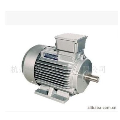 供應(yīng)西門(mén)子貝得電機(jī)Y2系列電動(dòng)機(jī)