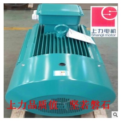 廠家直銷礦用、泵用、機(jī)械用防爆三相異步電動(dòng)機(jī) 160kw防爆電機(jī)