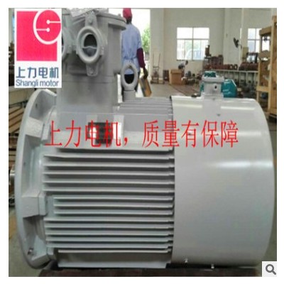 主推產(chǎn)品75KW8P防爆三相異步電動(dòng)機(jī) 75kw電機(jī) 明星產(chǎn)品電機(jī)