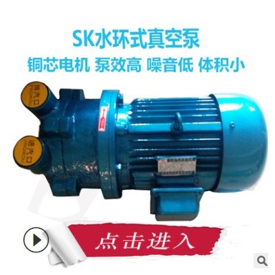 SK0.15 0.4 0.8 1.5b水環(huán)式真空泵小型真空泵直聯(lián)抽氣泵0.55KW