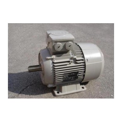供應(yīng)德國(guó)LAMMERS電機(jī) 標(biāo)準(zhǔn)鼠籠電機(jī) MEZ系列