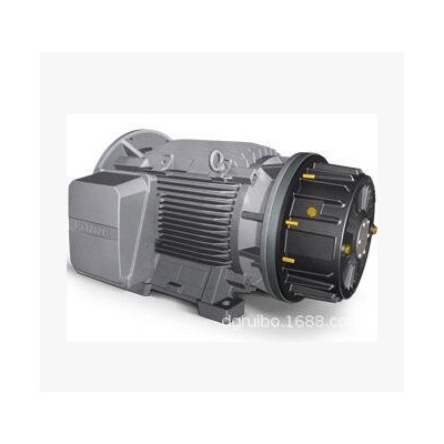 供應(yīng)LONNE電機(jī)1TZ系列 三相異步電動(dòng)機(jī)