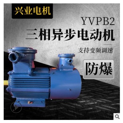 批發(fā)零售變頻調(diào)速電動(dòng)機(jī)防爆電機(jī) YVPB2三相異步電動(dòng)機(jī) 廠家直營(yíng)