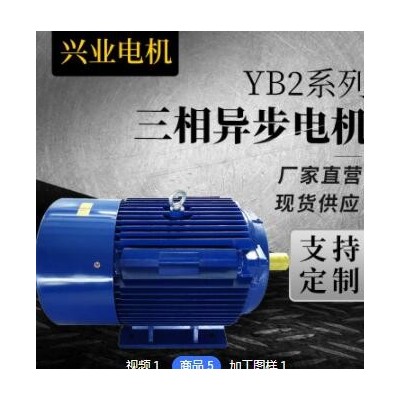 廠家銷售 雙出軸三相異步電動(dòng)機(jī)YE2-132S1-2機(jī)械設(shè)備電動(dòng)機(jī)