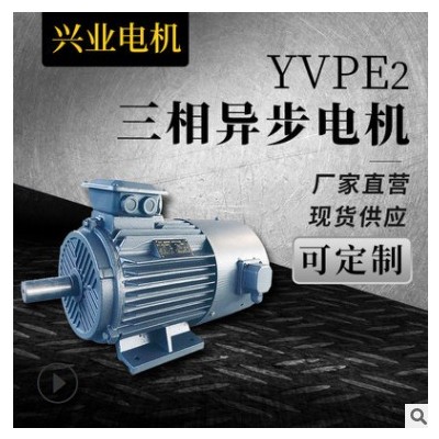現(xiàn)貨供應YVPE2三相異步電動機變速立臥式銅芯電機支持定制