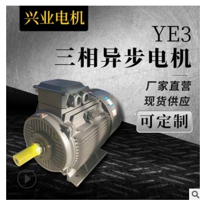 YE3系列臥式三相異步電動機YDT YEJ中速電動機 輕工機械電機