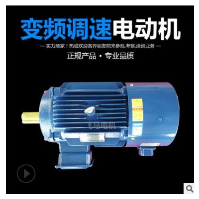 廠家現(xiàn)貨供應飛馬變頻調速電動機YDT 機械設備行業(yè)用電機型號齊全
