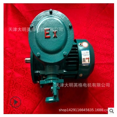 防爆電機(jī)