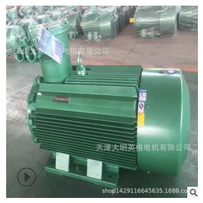 防爆電機(jī) YB3 2級(jí) 廠家直銷電動(dòng)機(jī) 防爆型 YB3-280M-2-90KW