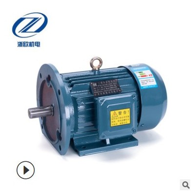廠家直供三相異步電動機(jī)國標(biāo)銅芯YE2四級380v全系列高功率電機(jī)