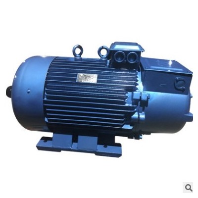 yzr系列三相異步電動(dòng)機(jī) YZR315M-10 75KW定制 防爆冶金起重電機(jī)