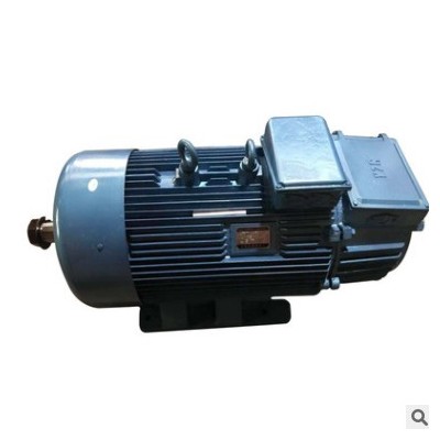 yzr系列三相異步電動(dòng)機(jī) YZR315S-10 55KW定制 防爆冶金起重電機(jī)