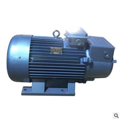 yzr系列三相異步電動(dòng)機(jī) YZR 280M-10 45KW定制 防爆冶金起重電機(jī)