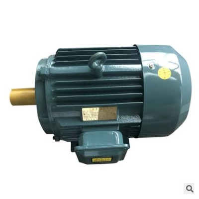 YE2高效率節(jié)能4極 三相交流異步電動(dòng)機(jī)普通電動(dòng)機(jī) 電動(dòng)機(jī)馬廠家