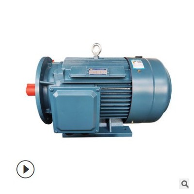 廠家直供 YE3-200L2-6 22KW 三相異步電動(dòng)機(jī) 全銅馬達(dá) YX3 Y2