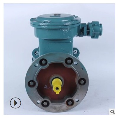 YBX3-355L- 4 280KW 防爆型三相異步電動(dòng)機(jī) YBBF 粉塵防爆電動(dòng)機(jī)