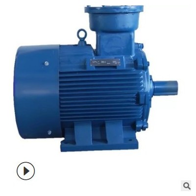 YBX3-355M- 2 220KW 隔爆型三相異步電動(dòng)機(jī) YB2 純銅 防爆電動(dòng)機(jī)