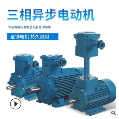 高效率YBX3-280M- 2 90KW 隔爆型三相異步電動(dòng)機(jī) YB2 防爆電動(dòng)機(jī)