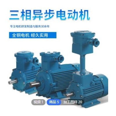 大速電機YB3粉塵隔爆三相異步電動機全銅線電機機械設備支持定制