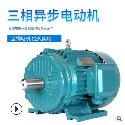 大速電機直銷YE3電動機低噪音三相異步電動機 工業(yè)電機可定制