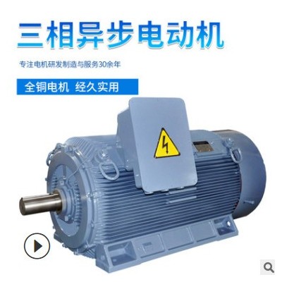上海大速直銷耐沖擊Y2系列高壓三相異步電動機變頻調(diào)速電機可定制