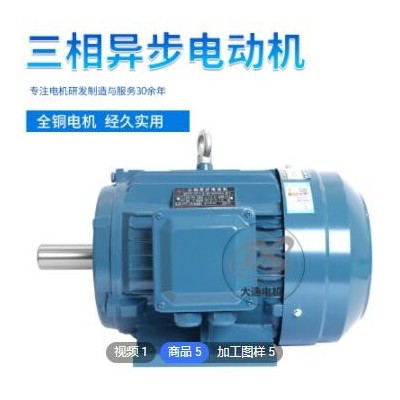 大速電機供應(yīng)YE2系列三相異步電動機低噪音電機機械設(shè)備支持定制
