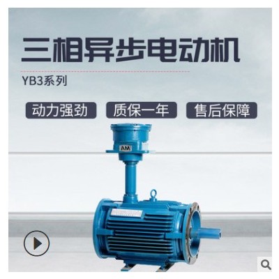 上海大速供應(yīng)YBFJ系列三相異步電機臥立式全銅電動機隔爆型電動機