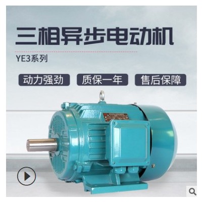 上海力超供應(yīng)變頻調(diào)速YE3電動(dòng)機(jī)全銅低噪音三相異步電機(jī)減速機(jī)用