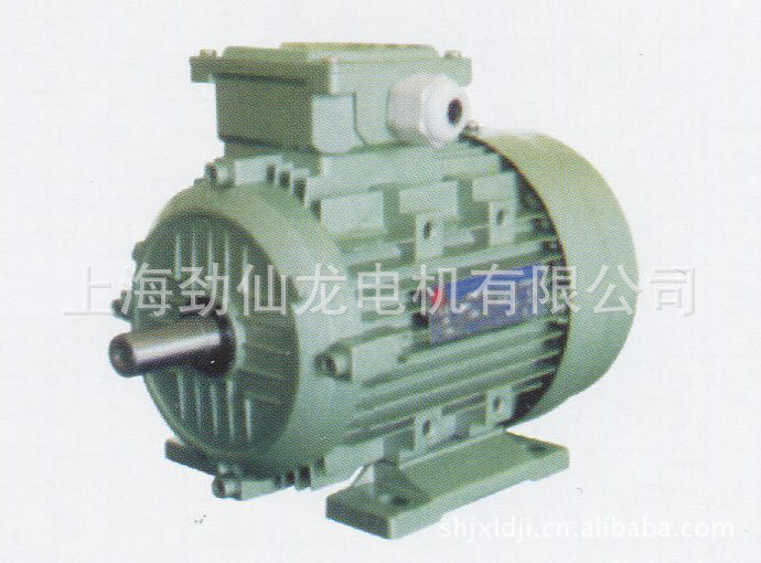 YD系列變極多速異步電動(dòng)機(jī) (1)