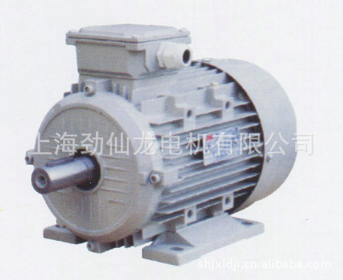 YD系列變極多速異步電動(dòng)機(jī)