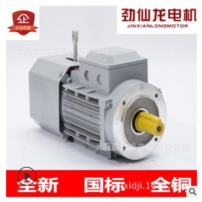 三相剎車制動(dòng)鋁合金電機(jī)0.55KW0.75KW配套減速機(jī)快速門(mén)卷簾門(mén)門(mén)機(jī)
