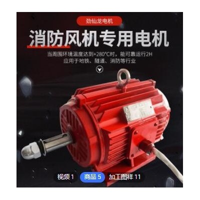 廠(chǎng)家直銷(xiāo)隧道及消防風(fēng)機(jī)專(zhuān)用電機(jī)750W至90KW2極2900轉(zhuǎn)高溫可訂做